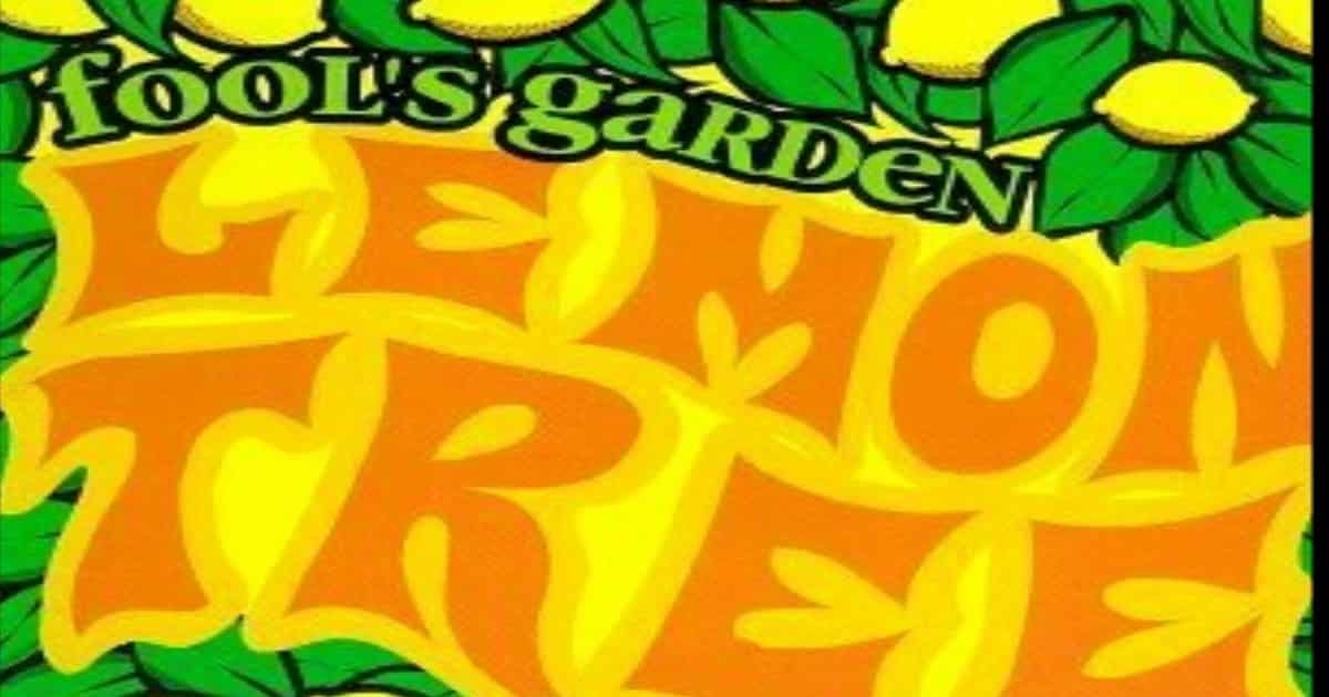 Learn English with Music Video [Fools Garden - Lemon Tree] 1