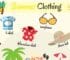 Summer Clothes Vocabulary in English