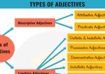 Types of Adjectives in English Grammar