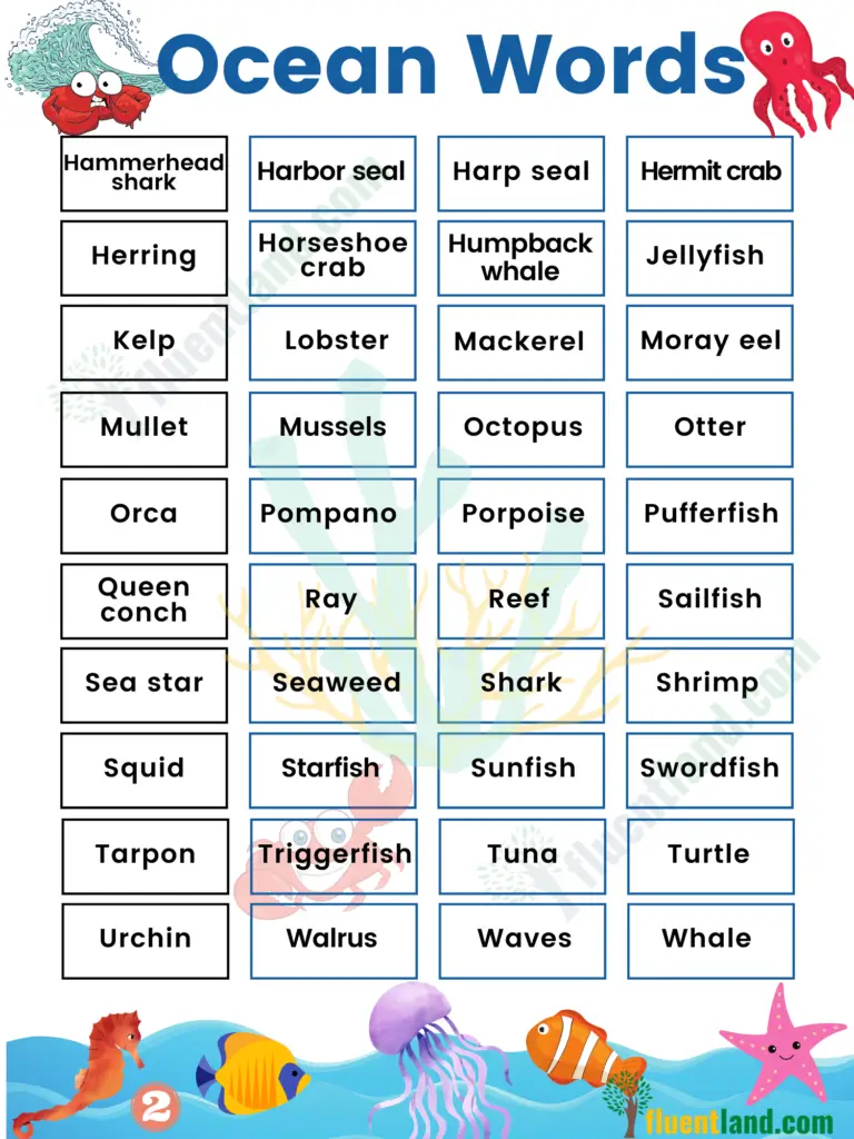Oceans Marine Vocabulary Word List: Useful Ocean Words with Examples and Pictures 31