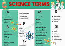 Science Vocabulary Word List
