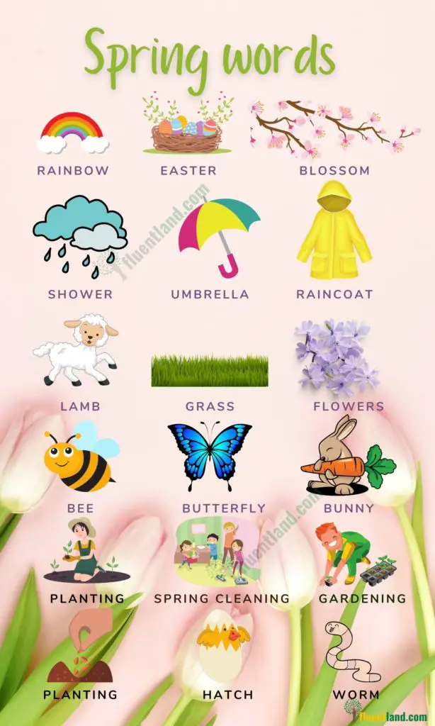Spring Words: Learn Spring Vocabulary with Pictures 27