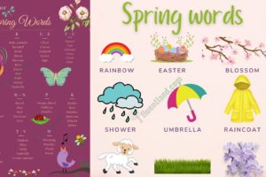 Spring Words: Learn Spring Vocabulary with Pictures