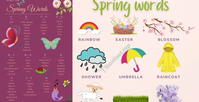 Spring Words: Learn Spring Vocabulary with Pictures 1