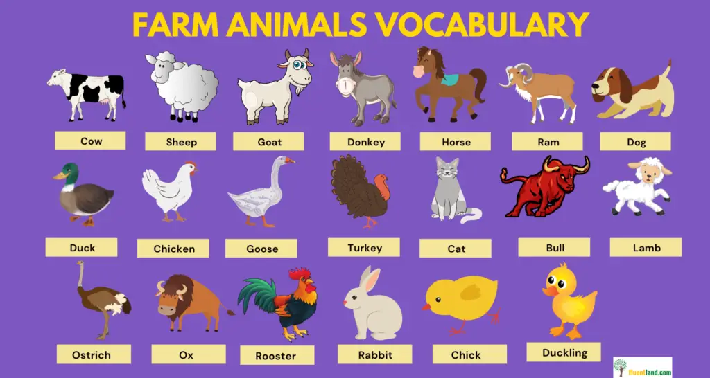 Farm Vocabulary Word List 3