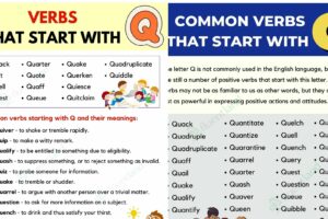 Verbs that start with Q ( Definition and Example)